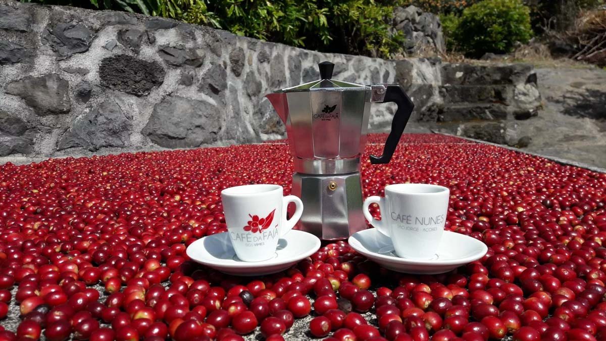 Café de Faja en la isla de Sao Jorge de las azores