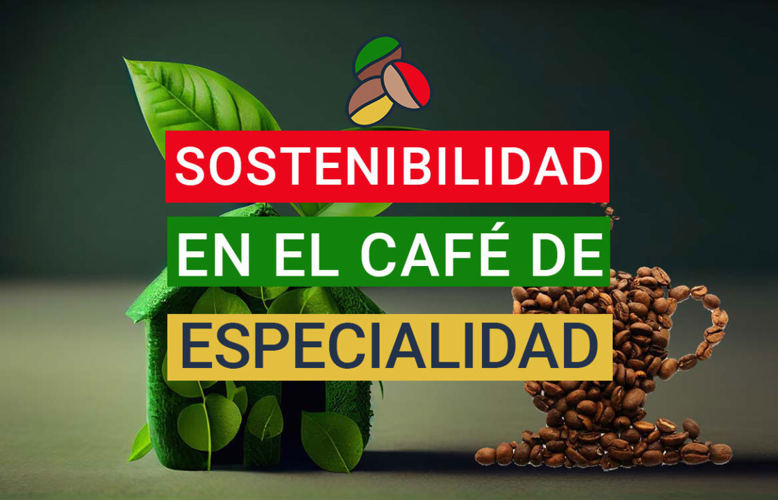 Sostenibilidad en el café de especialidad