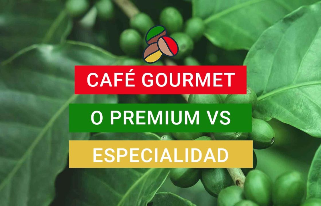 Café de especialidad vs café gourmet o premium