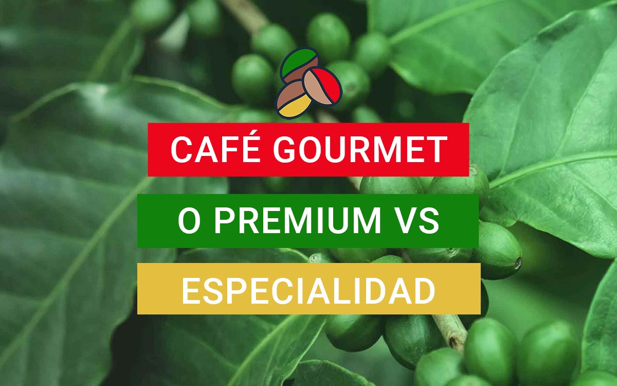 Café de especialidad vs café gourmet o premium