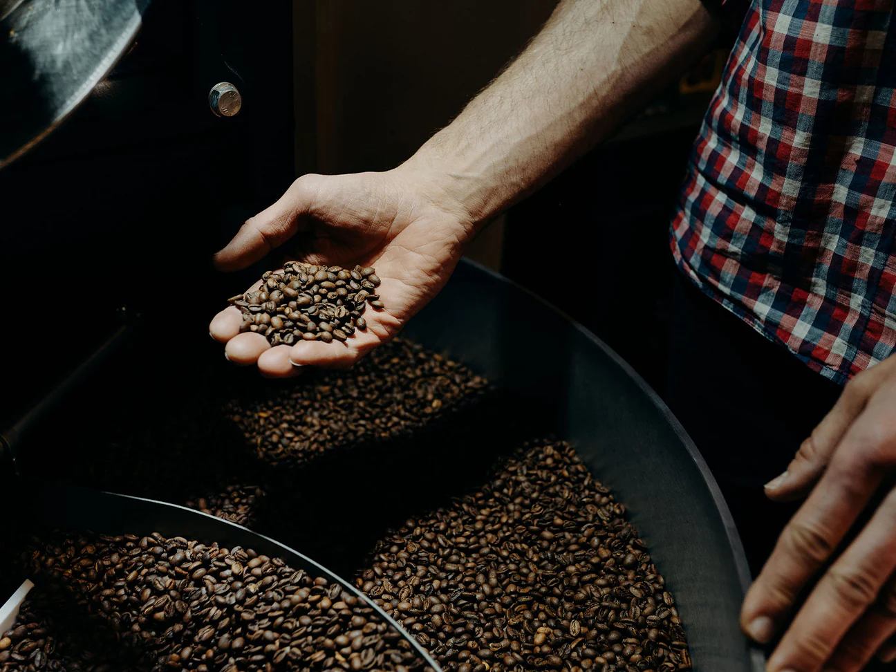 Coffee Roasters. ¿Qué hacen los tostadores de café?